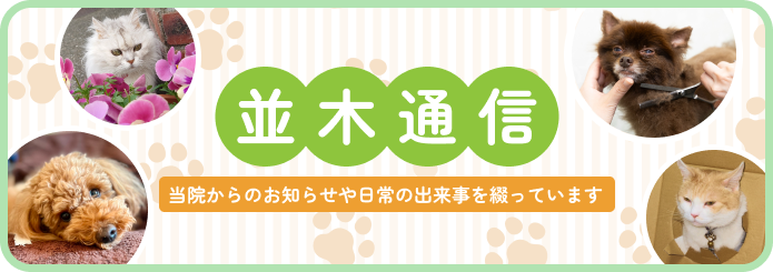 並木通信のバナー